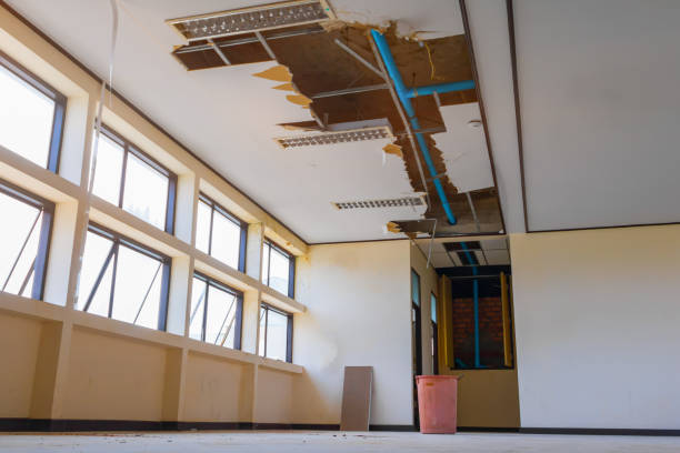 Best Flooded house restoration  in Southern View, IL