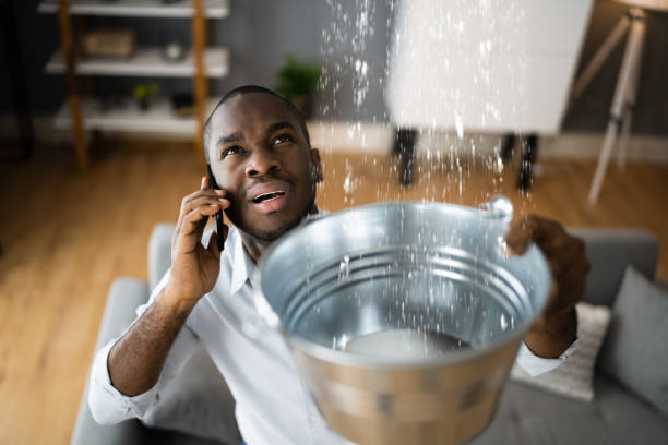 Best Water damage contractors near me  in Southern View, IL