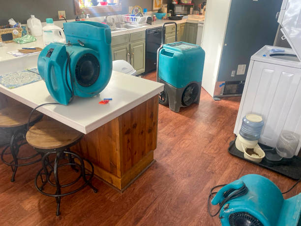 Best Commercial water damage restoration  in Southern View, IL