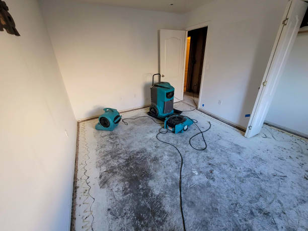 Best Mold removal after water damage  in Southern View, IL
