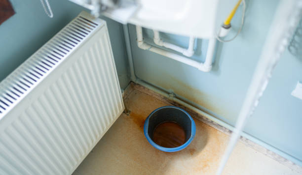 Best Professional water damage repair  in Southern View, IL