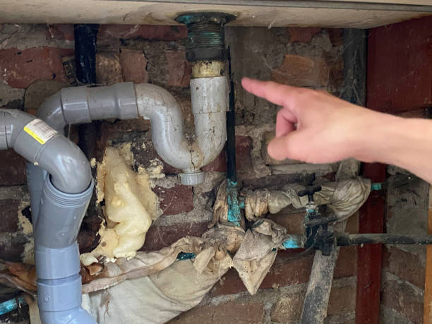 Best 24/7 water damage repair  in Southern View, IL