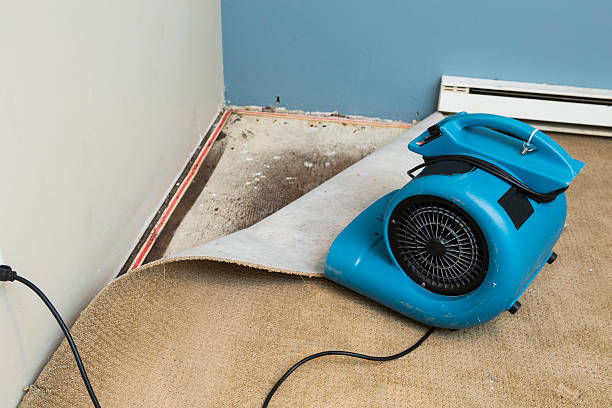 Best Water damage restoration company  in Southern View, IL